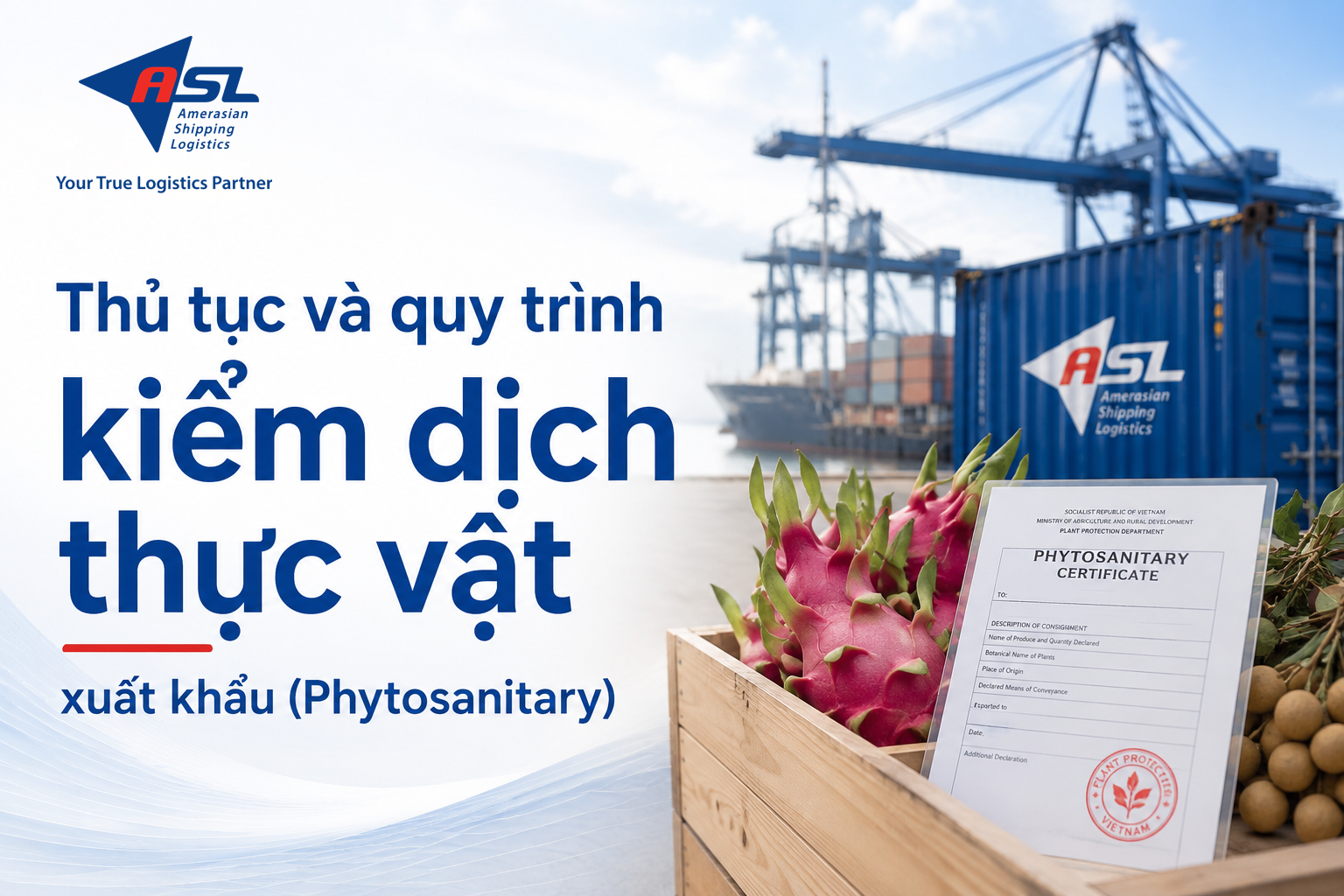 KIỂM DỊCH THỰC VẬT XUẤT KHẨU (PHYTOSANITARY): QUY TRÌNH CHI TIẾT VÀ HỒ SƠ CẦN CHUẨN BỊ